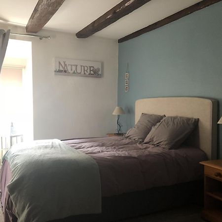 Sous Les Toits Du Zinc - Climatise Apartment Colmar Ngoại thất bức ảnh