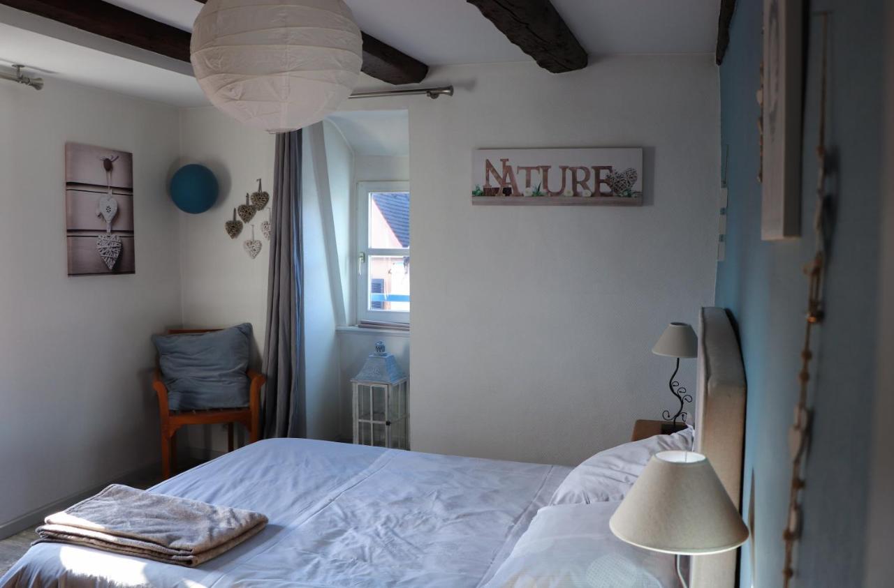Sous Les Toits Du Zinc - Climatise Apartment Colmar Ngoại thất bức ảnh