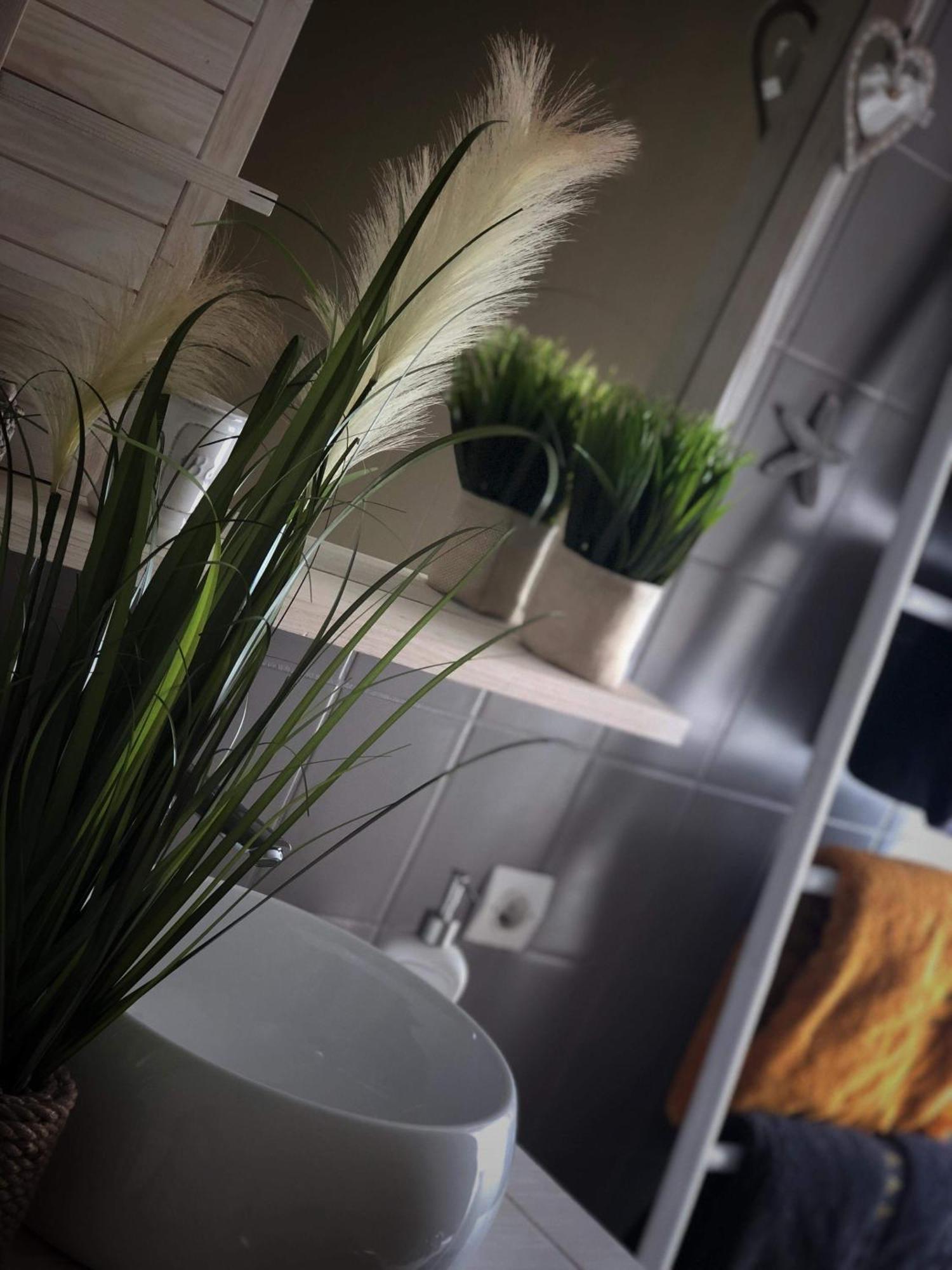 Sous Les Toits Du Zinc - Climatise Apartment Colmar Ngoại thất bức ảnh