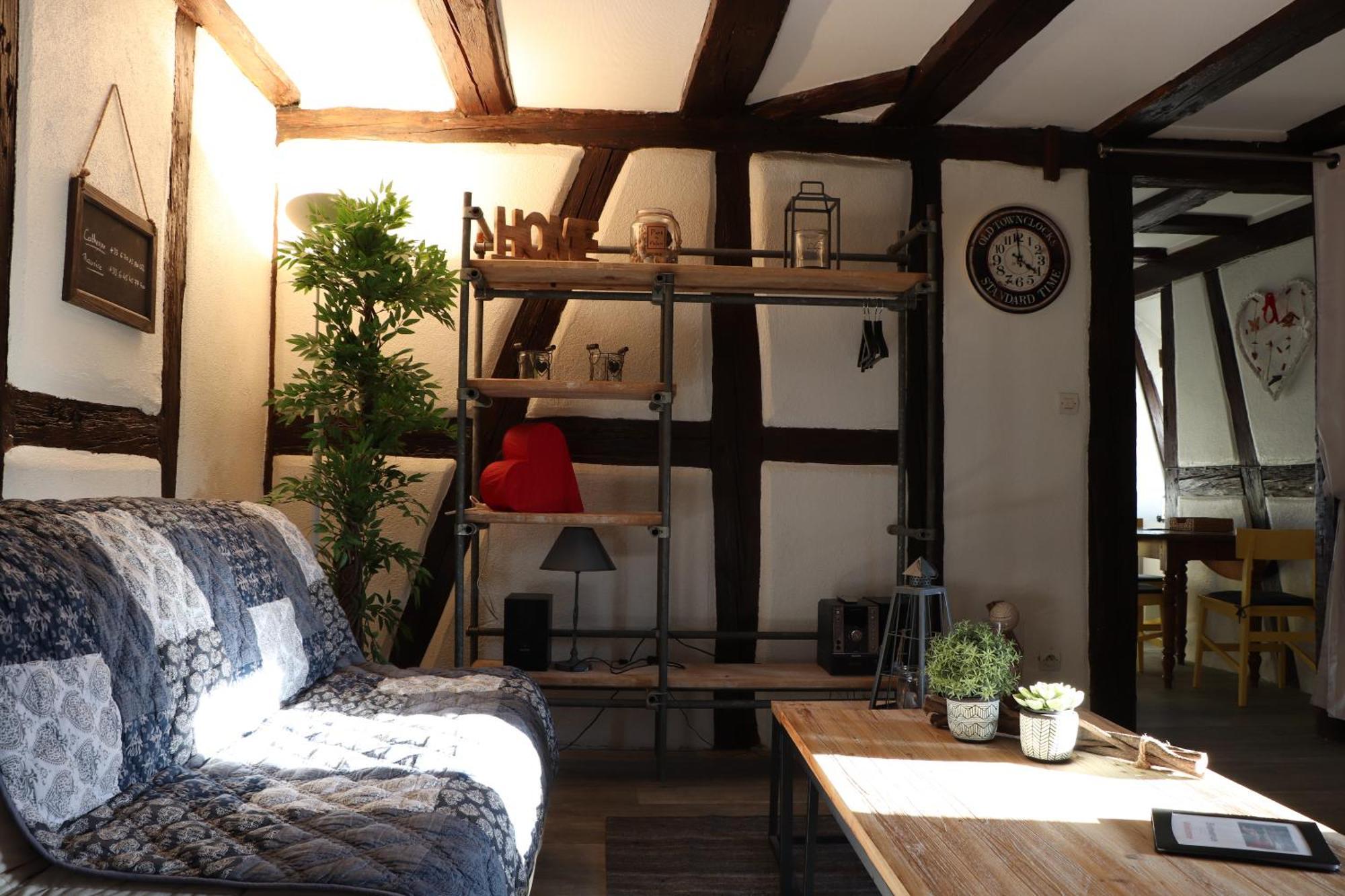 Sous Les Toits Du Zinc - Climatise Apartment Colmar Ngoại thất bức ảnh