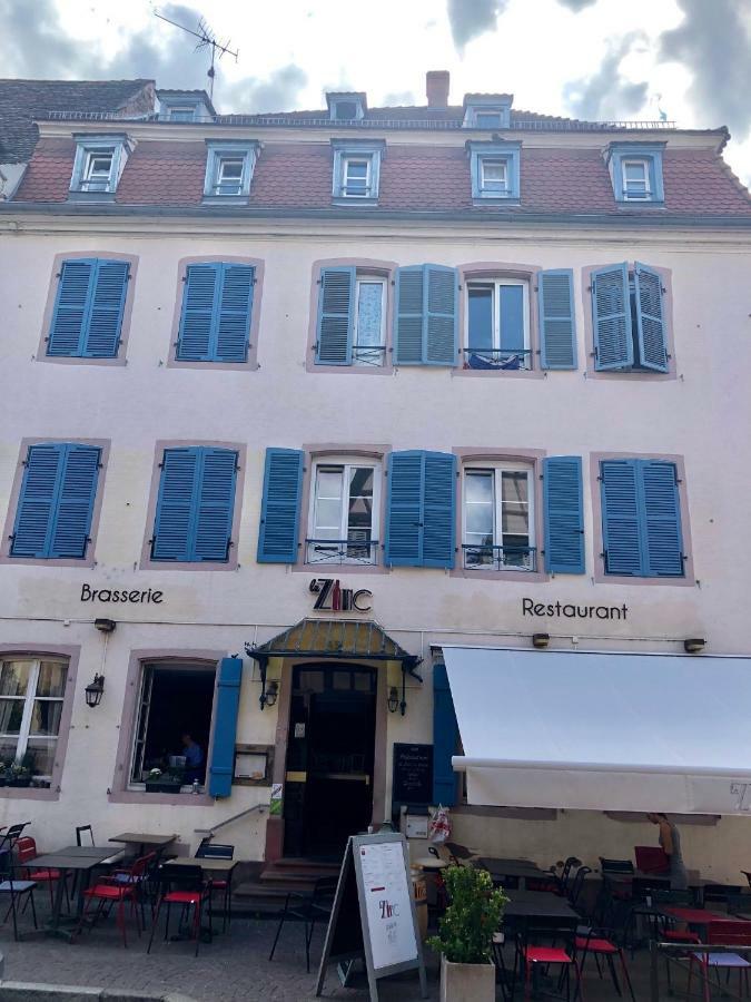 Sous Les Toits Du Zinc - Climatise Apartment Colmar Ngoại thất bức ảnh